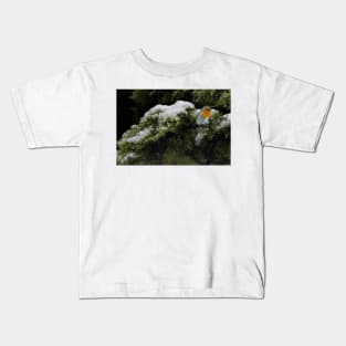 Robin in the winter Kids T-Shirt